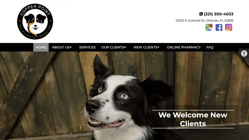 Copper Point Veterinary Hospital preview