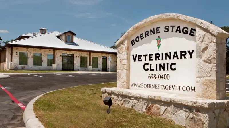 Boerne Stage Veterinary Clinic preview