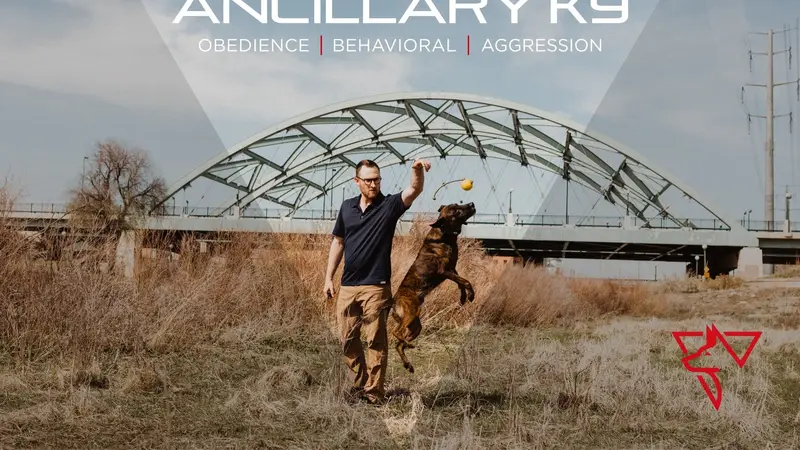 Ancillary K9 Dog Training preview