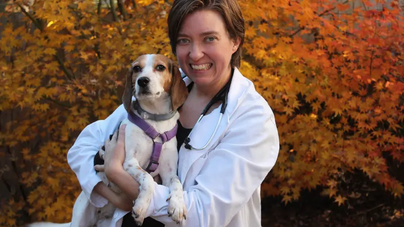 North Raleigh Mobile Vet preview