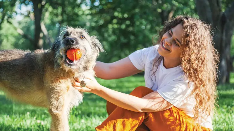 Cali's Cottage Veterinary Hospital preview