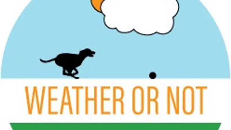 Weather Or Not Dog Walkers preview