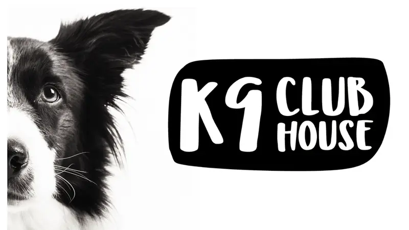 K9 Clubhouse Dog Day Care The Woodlands preview