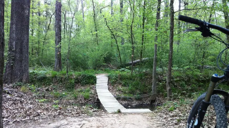 Lakeshore Running Trail preview