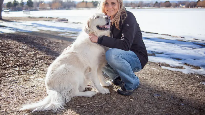 Platt Park Veterinary Hospital preview