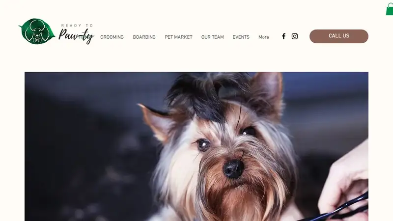Ready to Paw-ty Pet Spa & Market preview