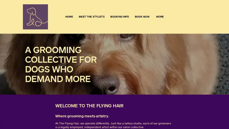 The Flying Hair preview