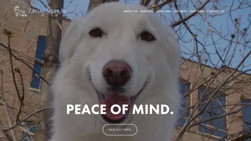 Zen Dogs Chicago preview