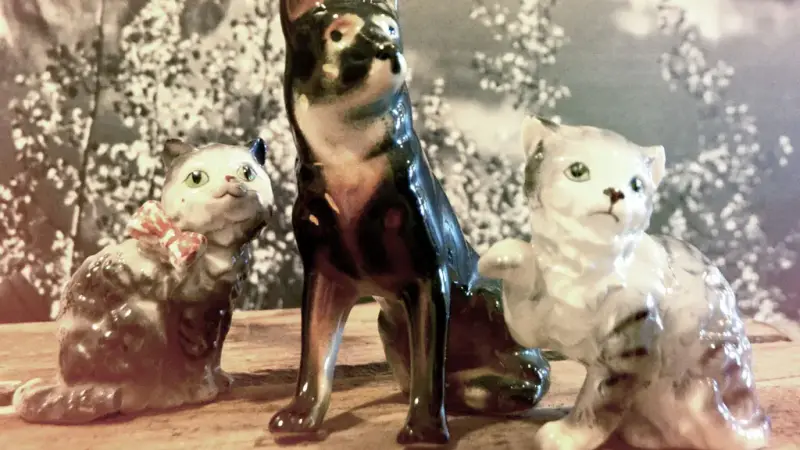 Urban Animal preview