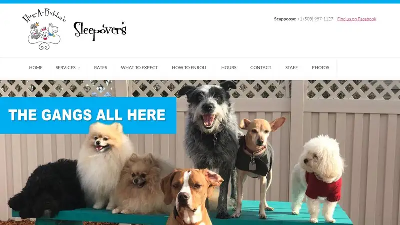 Hug-a-Bubba's Doggie Daycare & Grooming preview
