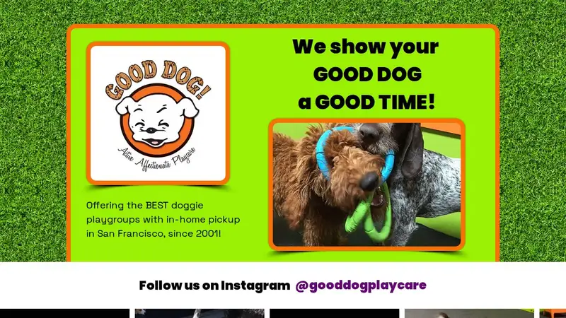 Good Dog Playcare preview