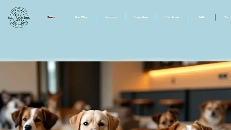 Your Animals Best Friend Services preview