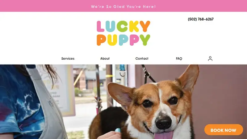 Lucky Puppy Dog Grooming preview