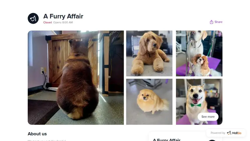 A Furry Afffair Pet Salon preview