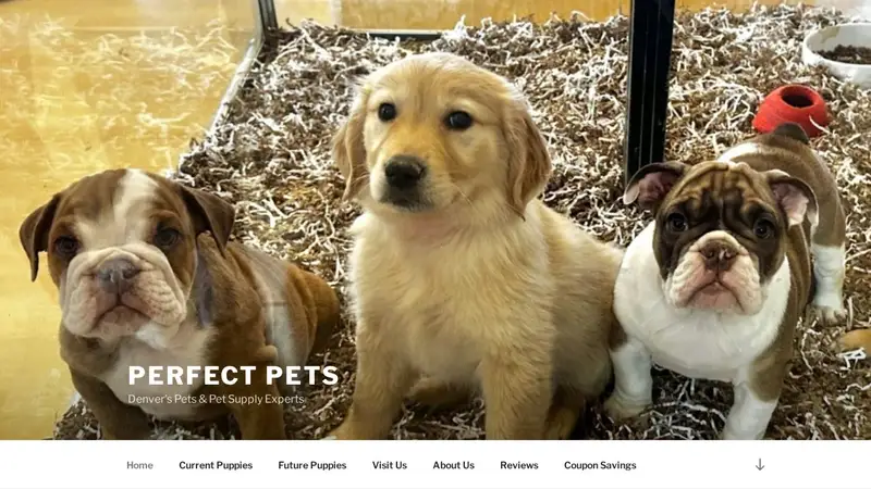 Perfect Pets preview