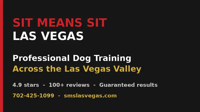 Sit Means Sit South West Las Vegas preview