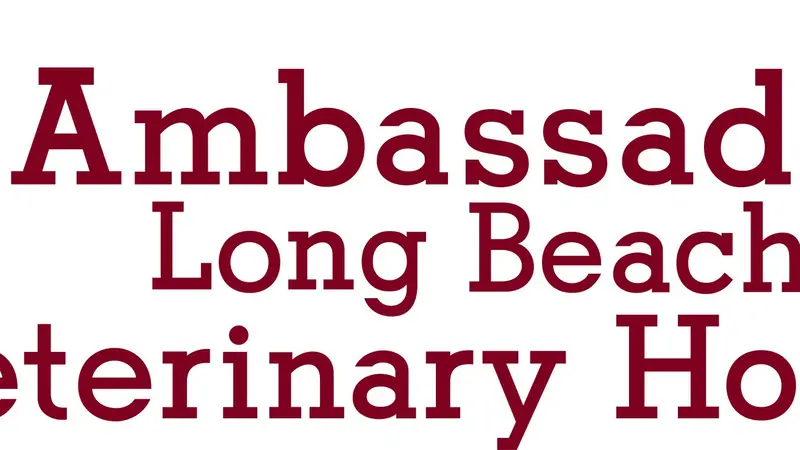Ambassador Long Beach Veterinary Hospital preview