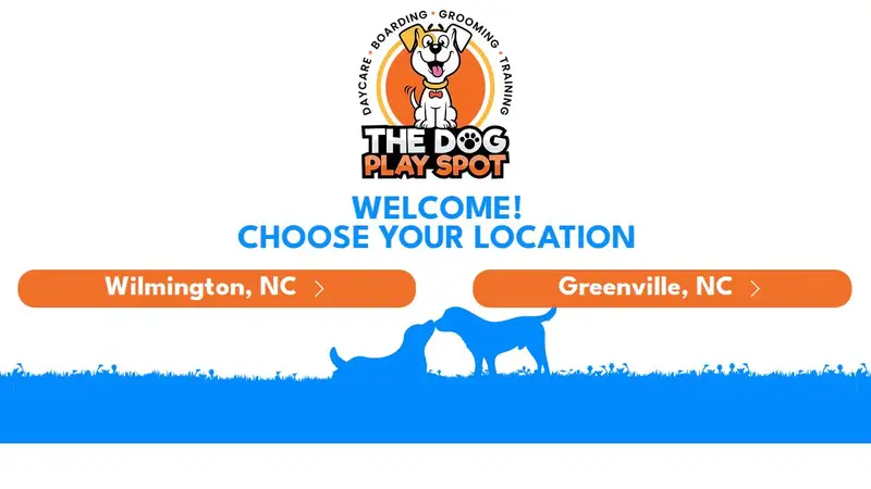 The Dog Play Spot preview