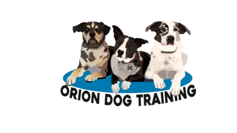 Orion Dog Training preview