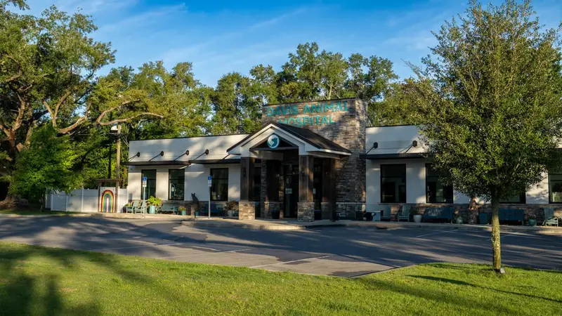 Davis Animal Hospital preview
