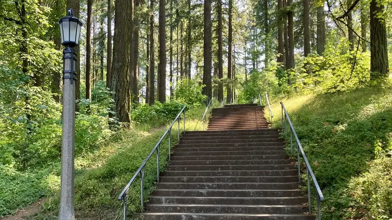 Mt.Tabor Dog Park preview