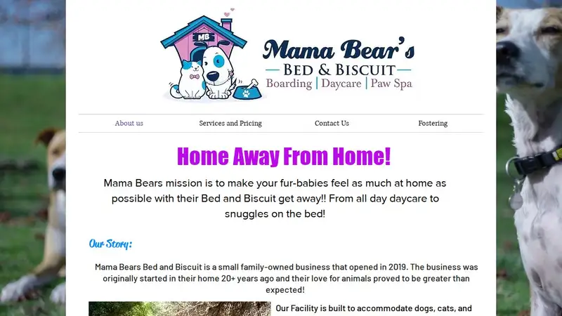 Mama Bear's Bed & Biscuit preview