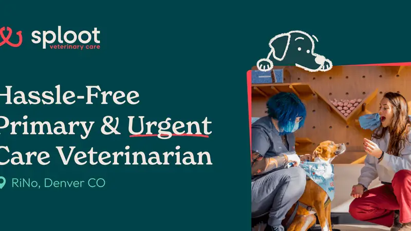 Sploot Veterinary Care - RiNo preview