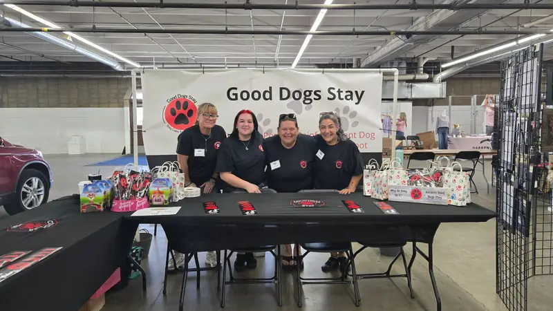 Good Dogs Stay preview