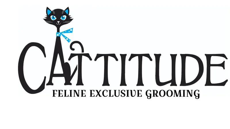 Cattitude Spa preview