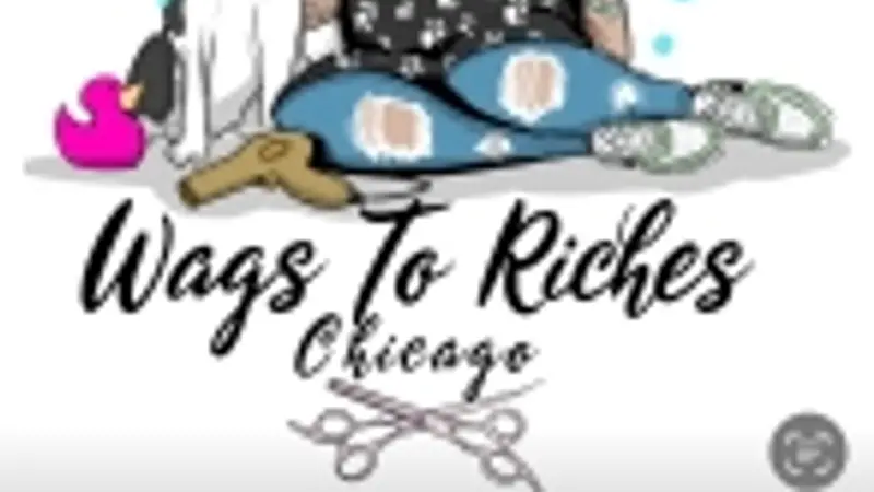 Wags To Riches Chicago preview