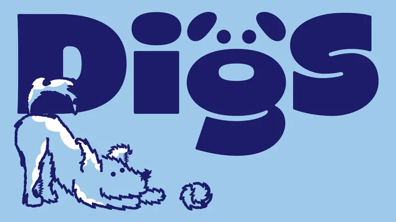 Woof's Play & Stay preview