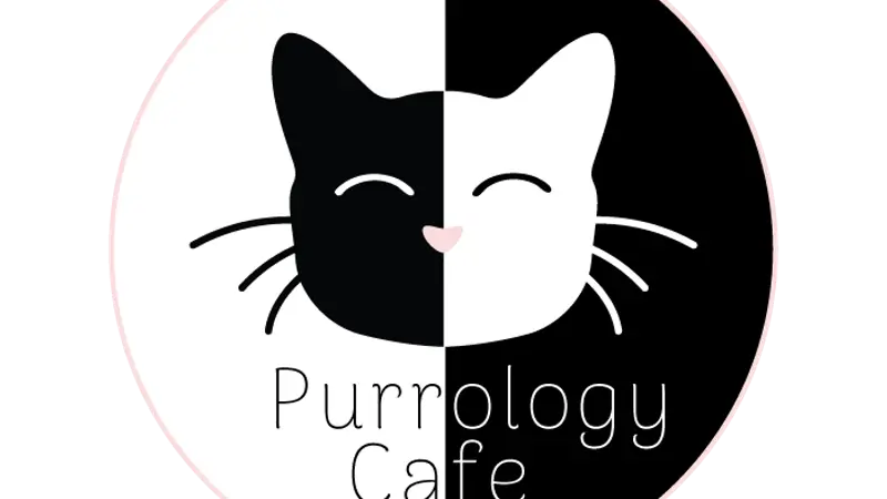 Purrology Cat Cafe preview