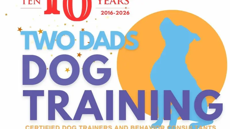 Two Dads Dog Training preview