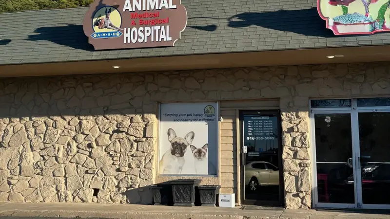 Animal Medical and Surgical Hospital preview