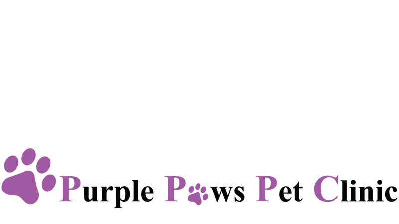 Purple Paws Pet Clinic preview