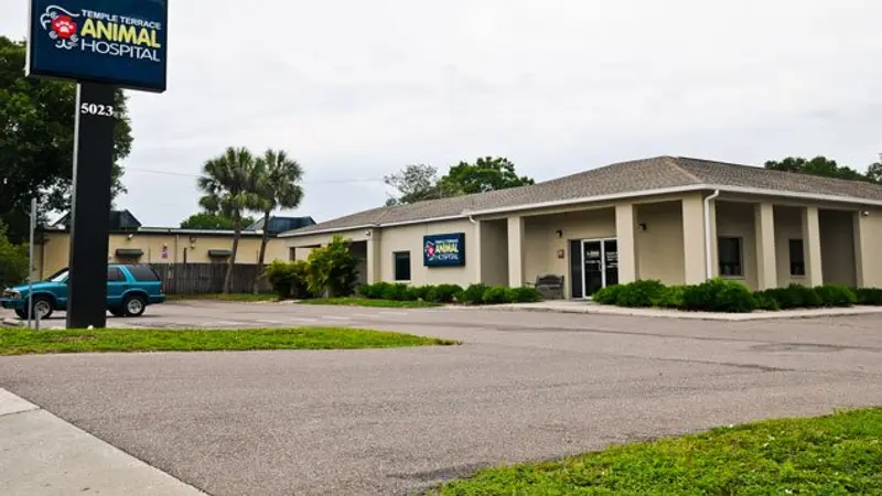 Temple Terrace Animal Hospital preview