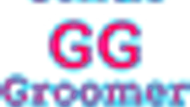 Gentle Groomer preview