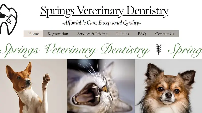Springs Veterinary Dentistry preview