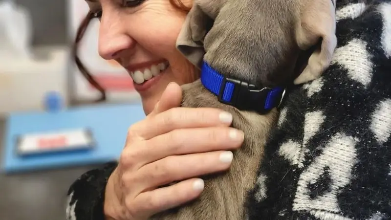 Kierland Animal Clinic preview