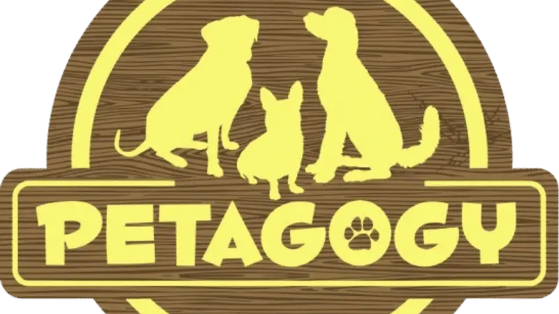 Petagogy preview