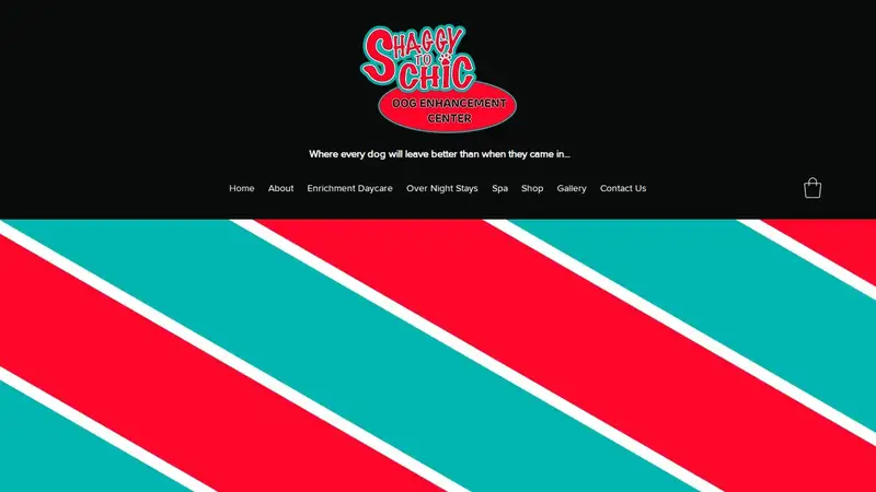 Shaggy to Chic preview