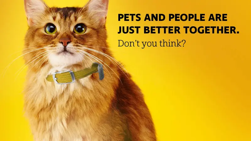 Humane Society of the Pikes Peak Region preview