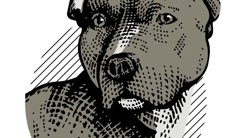 Boss K9 preview