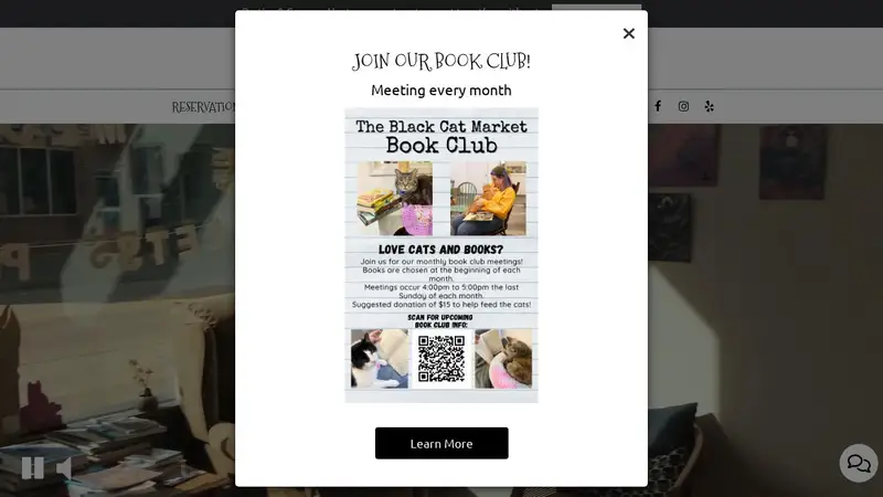 The Black Cat Market preview