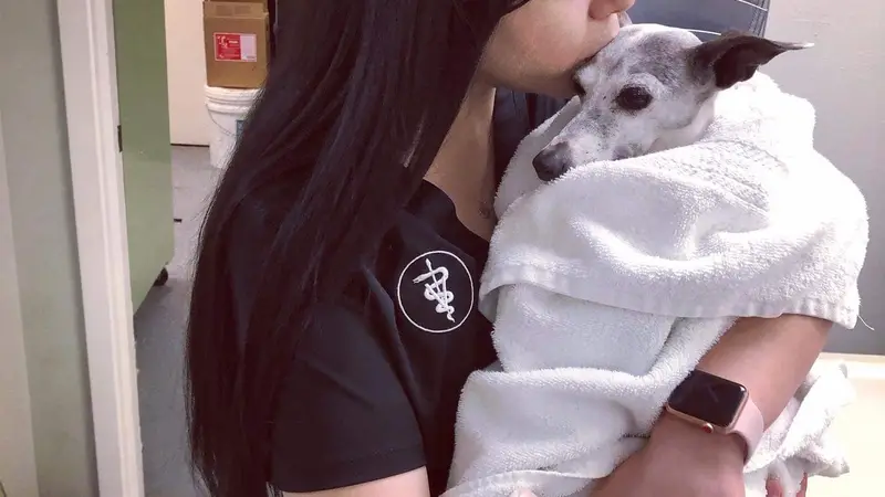 Paws & Claws Animal Hospital and Holistic Pet Center preview