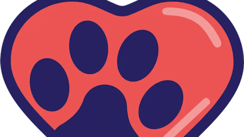 Posh Paws Pet Grooming & Boarding preview