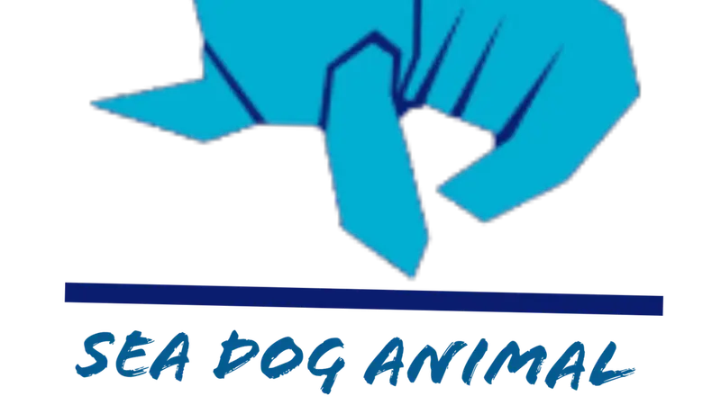 Sea Dog Animal Training preview