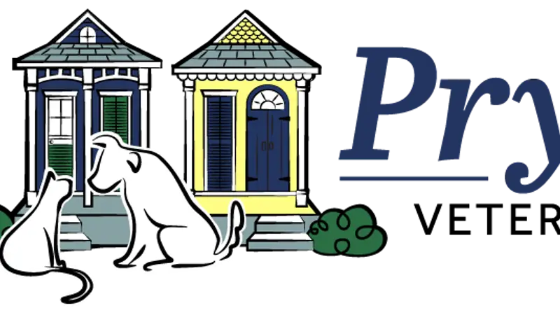 Prytania Veterinary Hospital preview