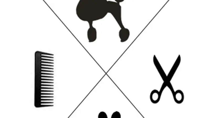 Spawtlight Dog Salon and Spa preview