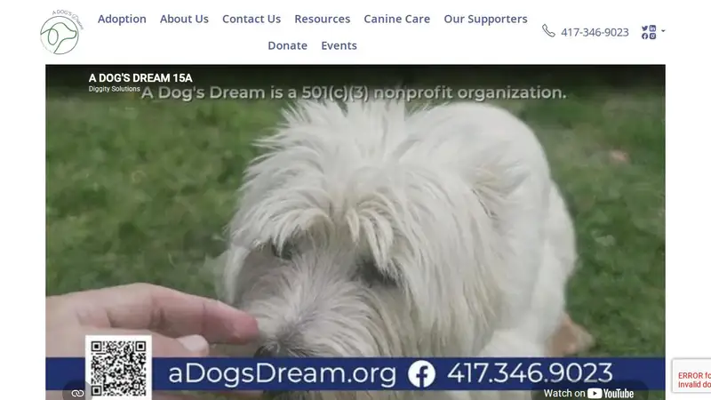 A Dog's Dream preview
